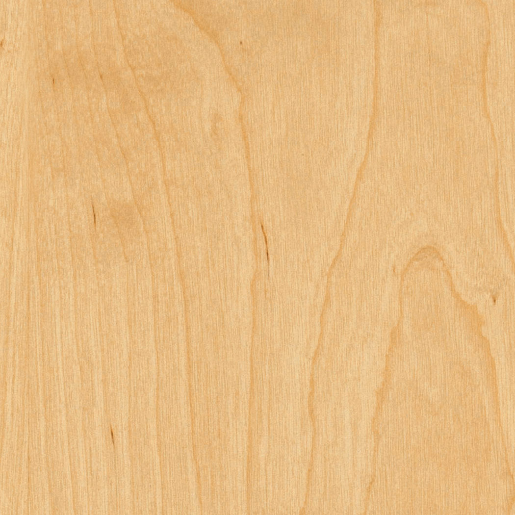 European Birch – Rotary Cut - Plyman