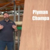 Plyman Champa Plywood 2400 x 1200 - Image 2