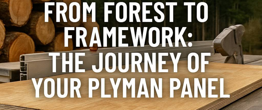 A high-quality plywood panel from Plyman resting on a workbench, with stacked logs and a forest backdrop — representing the sustainable journey from forest to finished framework in New Zealand.