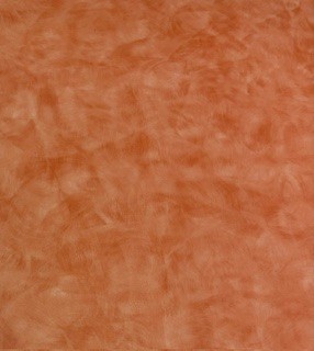 3754 Autum Spice