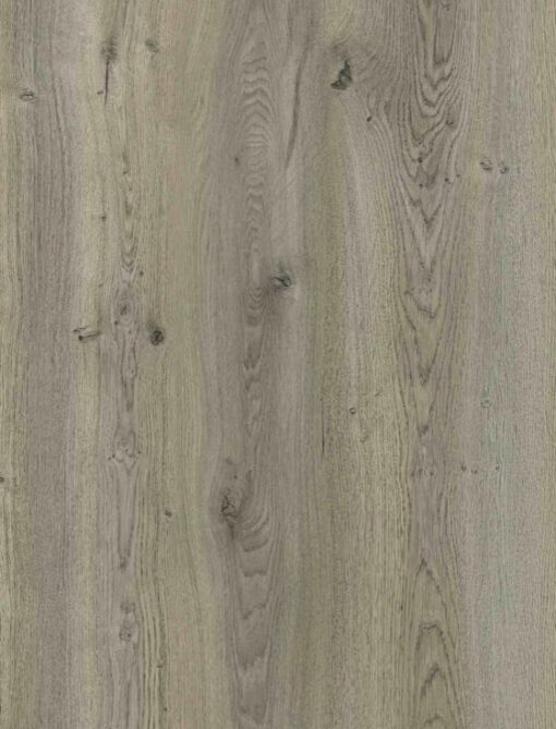 WAR5373 Aspen Oak