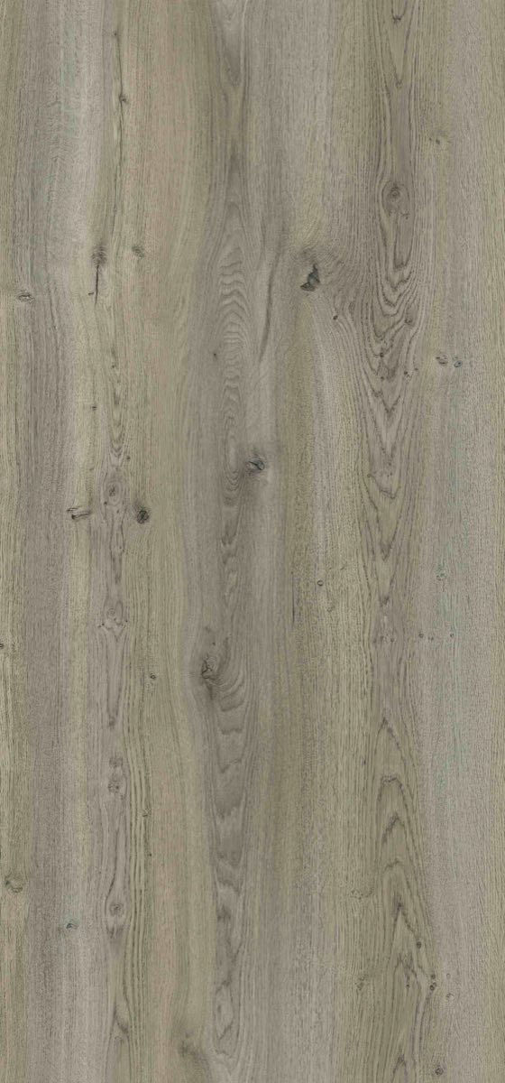 WAR5373 Aspen Oak