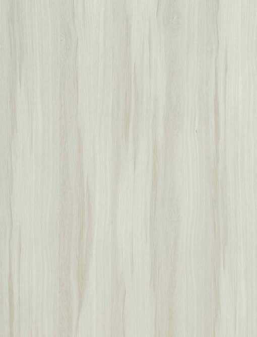WBR5429 Silver Gum
