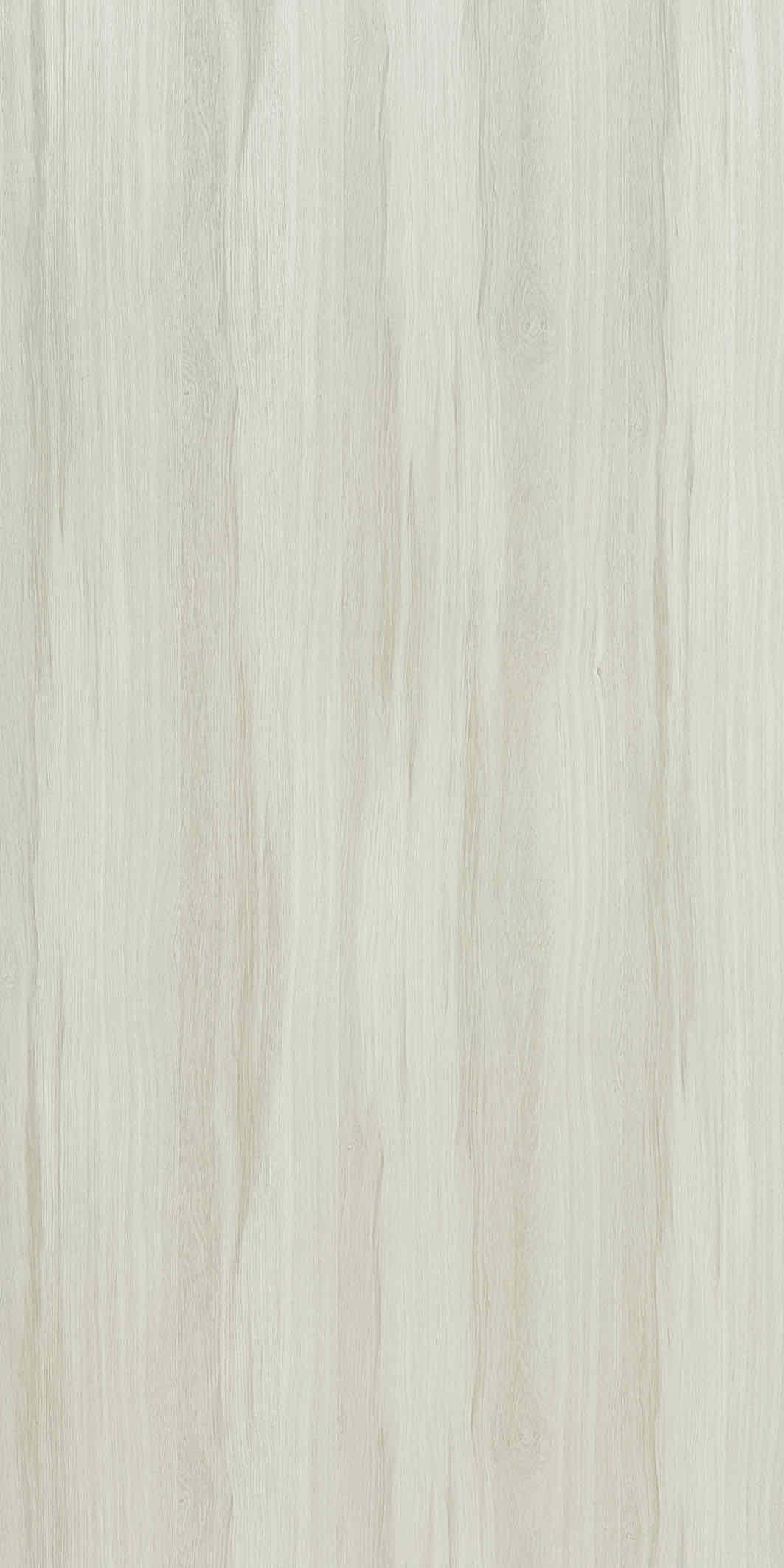 WBR5429 Silver Gum