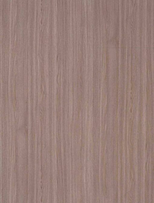 CDZ5454 Siber Elm