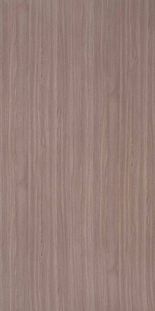 CDZ5454 Siber Elm