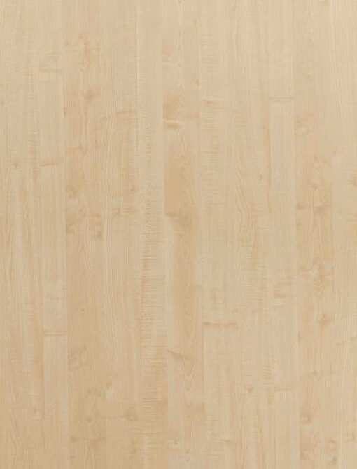 XXGWB5006 Thansau Maple