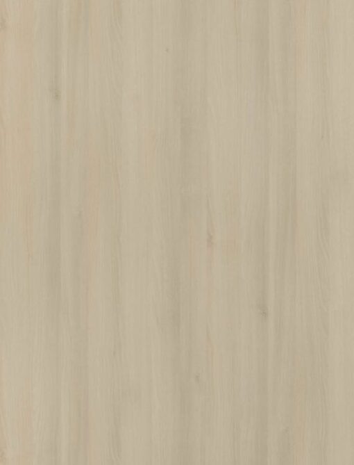 GWK774 Munich Acacia