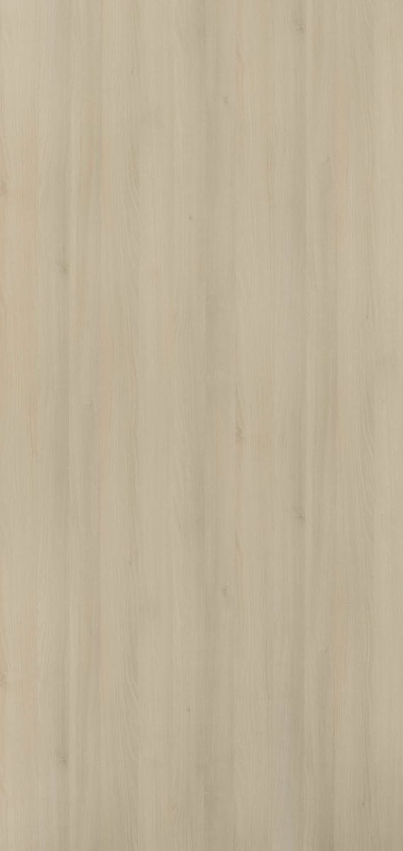 GWK774 Munich Acacia