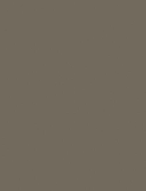 HGA274 Pine Nut