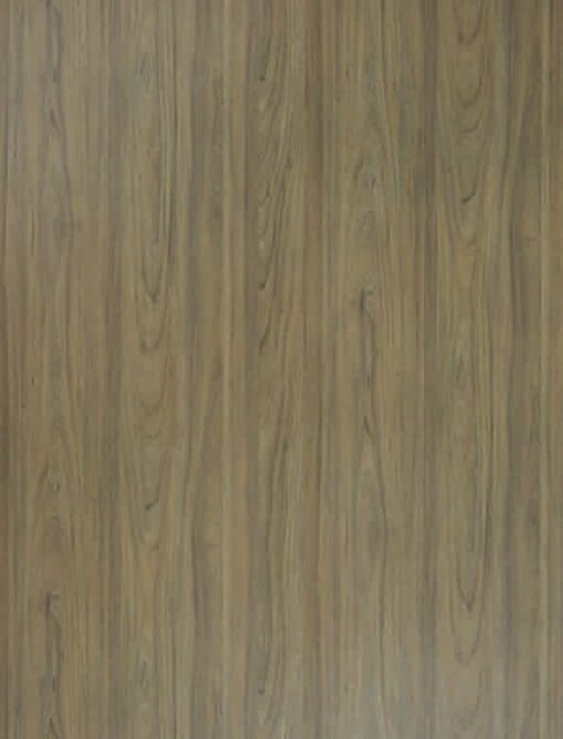 SY15352 Rovigo Elm