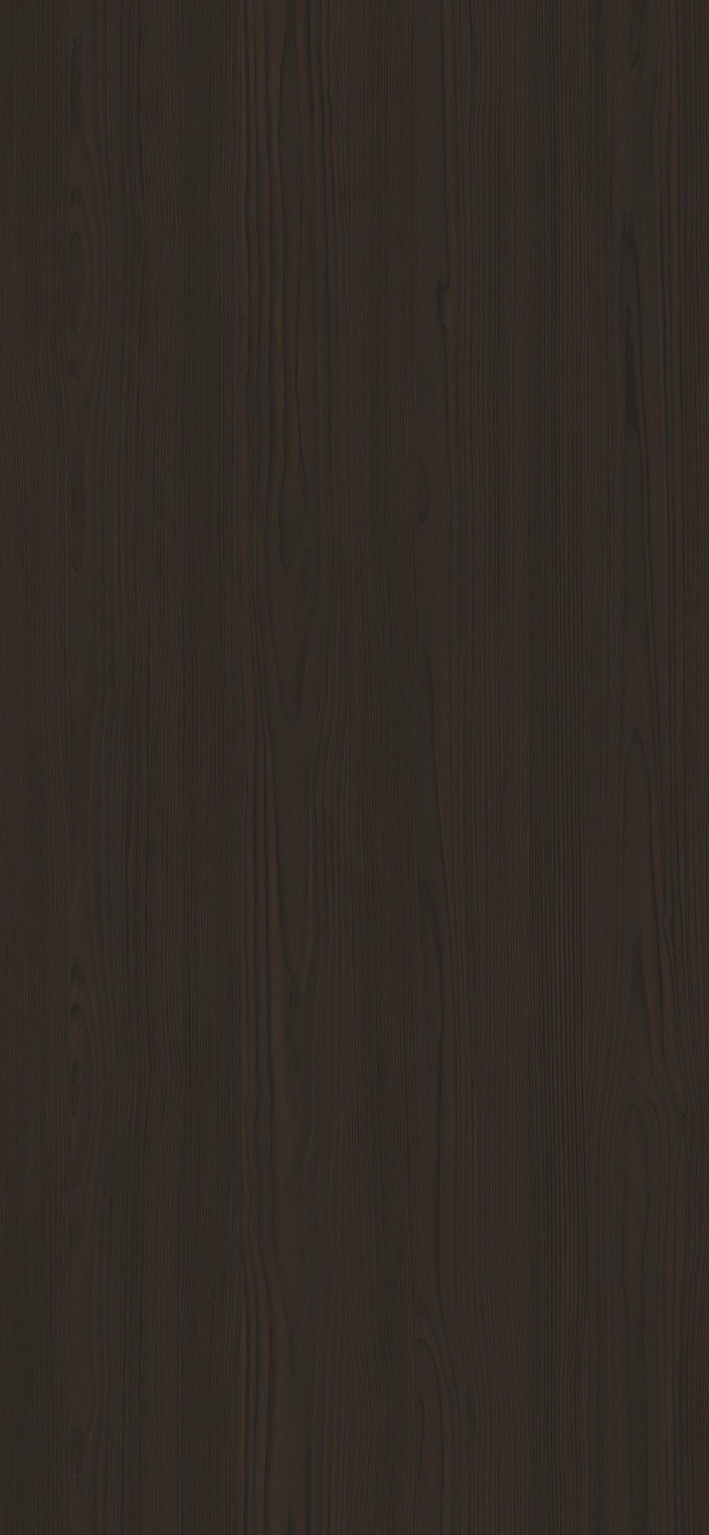 TRC5380 Black Forest